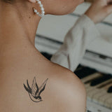 Swallow